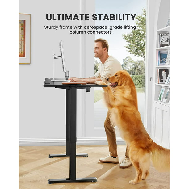 Height Adjustable Electric Standing Desk, 63x28 Inch Sit Stand up Desk, Large Memory Computer Home Office Desk, Black - Walmart.com